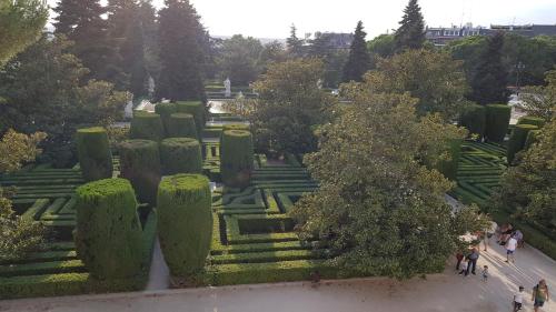 eine Luftansicht auf einen Garten mit grünen Hecken und Bäumen in der Unterkunft Hostal Loyola in Madrid