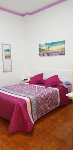 a bed with a purple comforter in a bedroom at Hostal Loyola in Madrid