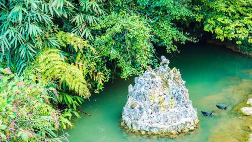 a pile of rocks in the water with trees at Chô Family in Bắc Hà