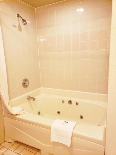 a bathroom with a tub and a white towel at North Ironwood Acres - Black River Lodge in Ironwood