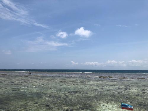 Imagen de la galería de Spheredivers Scuba & Leisure, en Pulau Mabul 