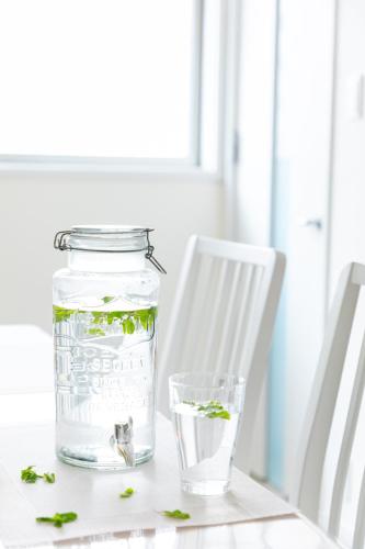 a jar of water and a glass of water with green plants at Villa de Class in Osaka