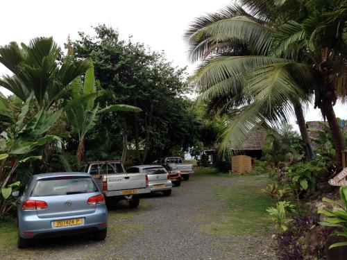 a row of cars parked in a driveway with palm trees at Punatea Village in Afaahiti