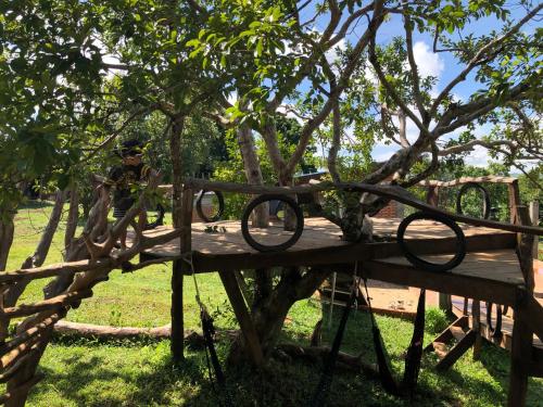 a person standing on a wooden table under a tree at Nature Lodge in Sen Monorom
