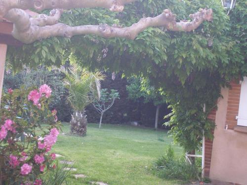 La Villa des Violettes photo 56