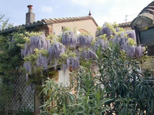La Villa des Violettes photo 53