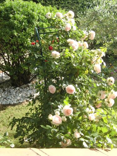 La Villa des Violettes photo 59