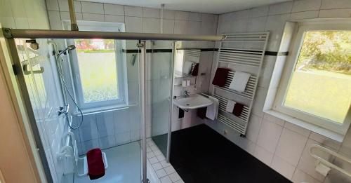 ein Bad mit einer Dusche und einem Waschbecken in der Unterkunft Funnys Deichblick in Butjadingen