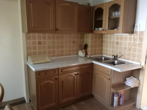a kitchen with wooden cabinets and a sink at Apartment House Papa in Vinica