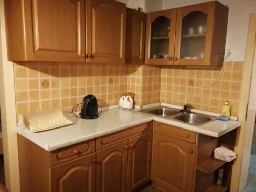 een keuken met houten kasten en een wastafel bij Apartment House Papa in Vinica