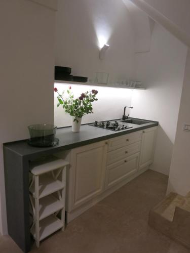 Kuchyň nebo kuchyňský kout v ubytování Atelier di Birbiciú