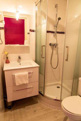 a bathroom with a shower and a sink and a toilet at Hotel Henri IV in Sully-sur-Loire
