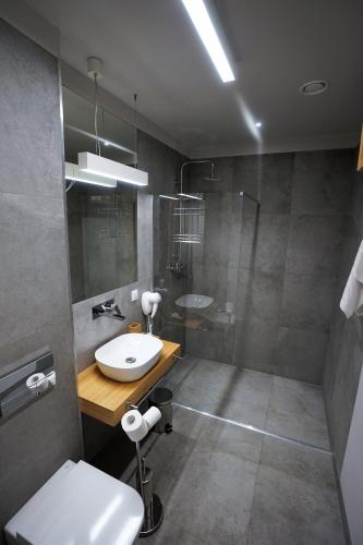 a bathroom with a sink and a shower and a toilet at Kamienica nr 6 in Aleksandrów Łódzki