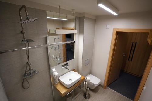 a bathroom with a sink and a shower and a toilet at Kamienica nr 6 in Aleksandrów Łódzki