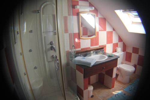 a bathroom with a shower and a sink at Domaine des Oiseaux Réunion in Saint-André