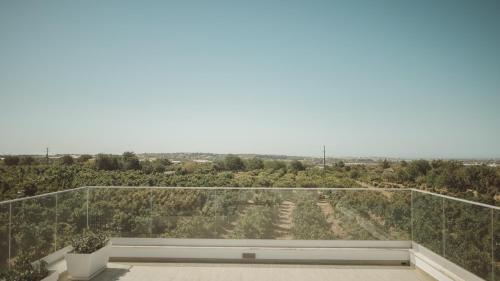 a balcony with a view of a vineyard at Vila Milreu Guest House in Estói