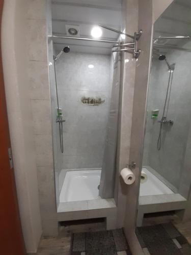 a bathroom with a shower with a sink and a toilet at Joniskera in Tbilisi City