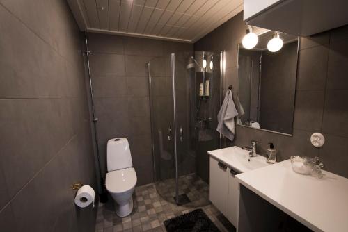 a bathroom with a shower and a toilet and a sink at Upseeritalo in Seinäjoki