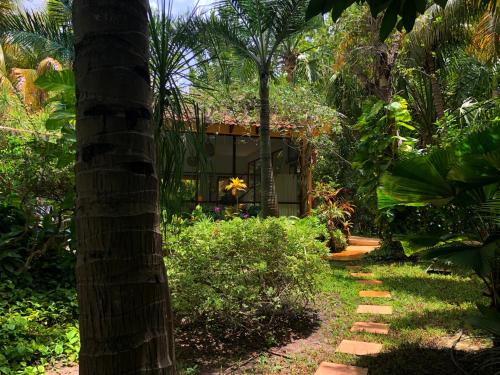 Taman di luar Casa Kin33