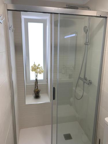 y baño con ducha de cristal y ventana. en Apartamento Tahoro, en La Orotava