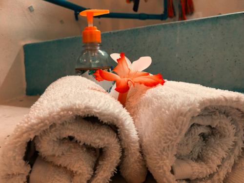a towel with a flower on it next to a bottle at Casa Kin33 in Cancún