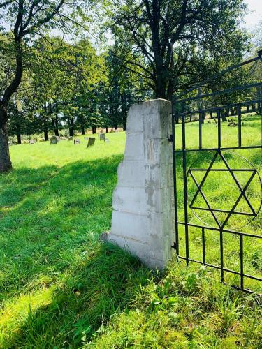 a fence in a field next to a tree at Pod Gromadzyniem Resort in Ustrzyki Dolne