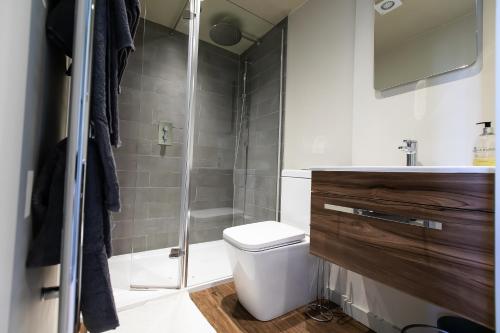 a bathroom with a toilet and a shower at Unique Central Town House in Norwich