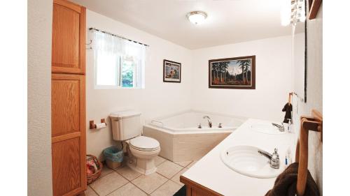 a bathroom with a toilet and a tub and a sink at Suite 1 Lynn View Lodge in Haines