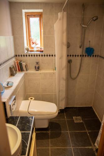 a bathroom with a shower and a toilet and a sink at Churchlands in Bromyard