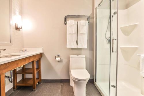a bathroom with a toilet and a shower at Comfort Inn & Suites in Saint-Jérôme
