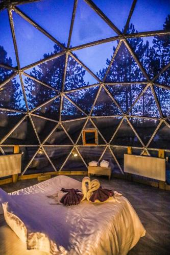 a room with a bed in a glass dome at Domaine de la Font Vineuse & Spa in Saint-Pierre-dʼArgençon