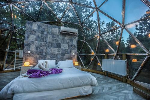 Schlafzimmer mit einem Bett in einer Glaskuppel in der Unterkunft Domaine de la Font Vineuse & Spa in Saint-Pierre-dʼArgençon