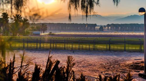 a fence in a field with the sunset in the background at Kibbutz Ketura Guest House in Naẖal Ya‘alon