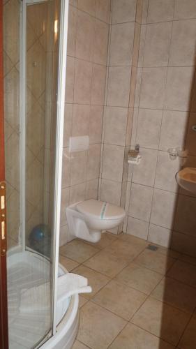 a small bathroom with a toilet and a shower at Pensiunea Medieval in Predeal