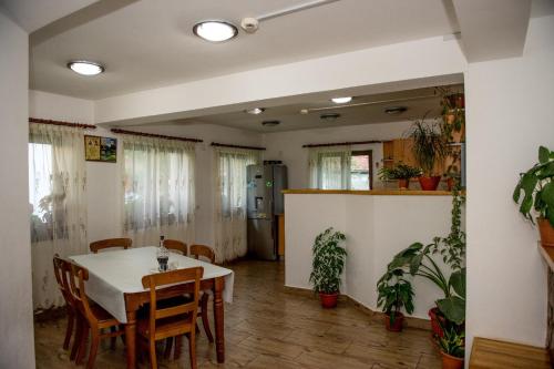 Gallery image of Pensiunea Casa Iancului in Vidra