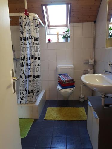 baño con lavabo y aseo y ventana en Apartment Dorfstrasse 16, en Leuzigen