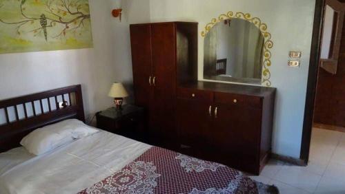 a bedroom with a bed with a dresser and a mirror at Homestay Family near Luxor monuments in Luxor