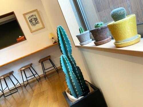 a cactus sitting on a shelf in a room at Cactus Inn in Miyazaki