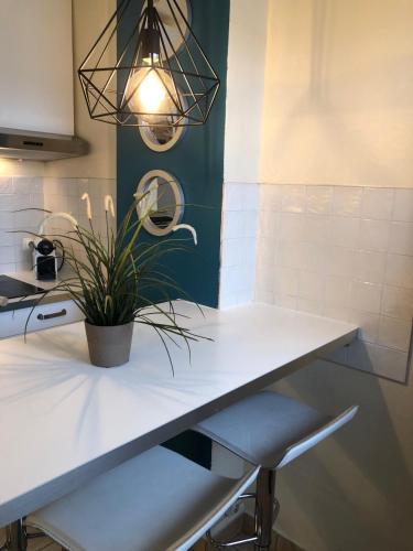 - un comptoir de cuisine avec une plante en pot dans l'établissement Le Panorama, à Fréjus