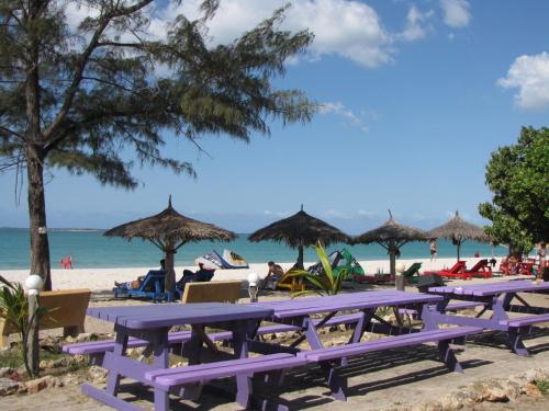 a group of purple picnic tables on a beach at Kipepeo Beach and Village in Dar es Salaam