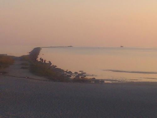 a group of people standing on a beach near the water at Muuli Ranna Hostel in Pärnu