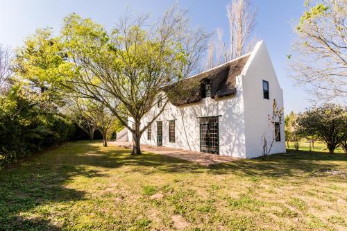an old white house with a tree in the yard at Die Wasbak in Greyton