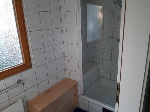 a bathroom with a shower with a tub and a shower at Peter's Montagezimmer in Weikersdorf am Steinfelde