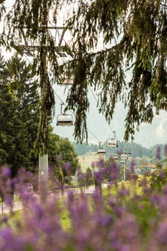 a park with purple flowers and a ski lift at Appartement Kristall in Tauplitz