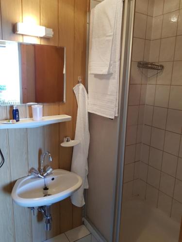 a bathroom with a sink and a shower at Hübinger Treff in Hübingen