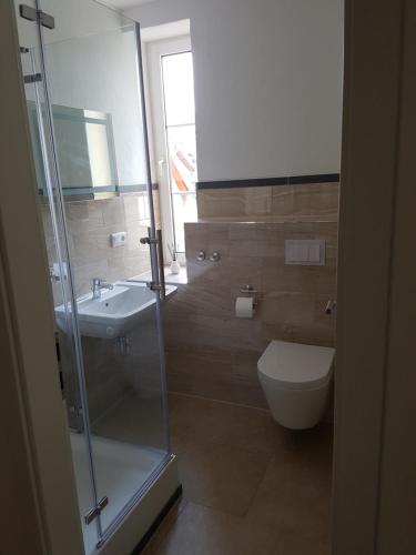a bathroom with a toilet and a sink at Gasthof zur Alten Post in Wimmelburg