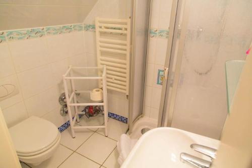 a bathroom with a toilet and a shower and a sink at Dünenmeisterei in Ostseebad Koserow