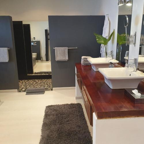 a bathroom with two sinks and a large mirror at De Kloof Heritage Estate and Wellness in Swellendam