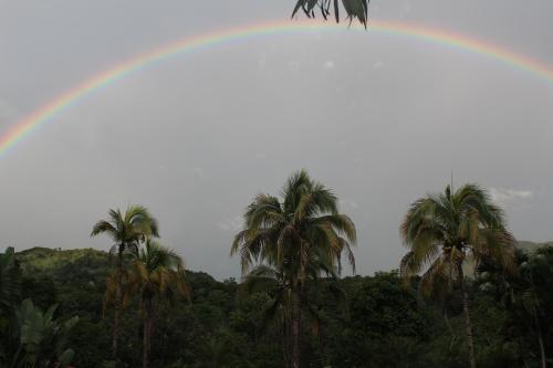 a rainbow over a group of palm trees at ATENEA SPA Hotel in Villeta