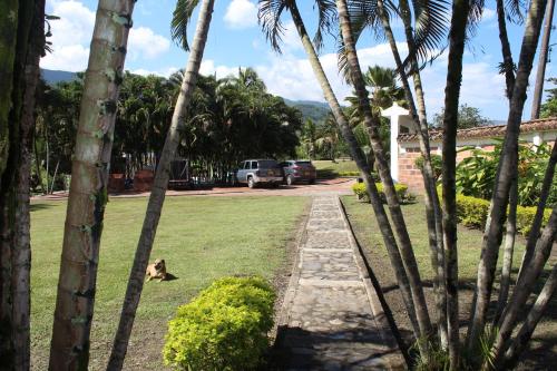 a dog sitting on the grass in a yard with palm trees at ATENEA SPA Hotel in Villeta